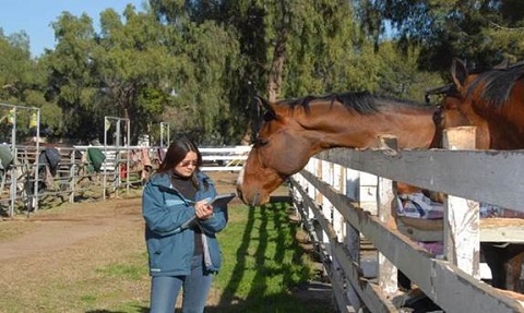 Animal Keepers Inspection