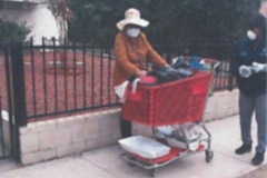 Unapproved open cart used for food vending