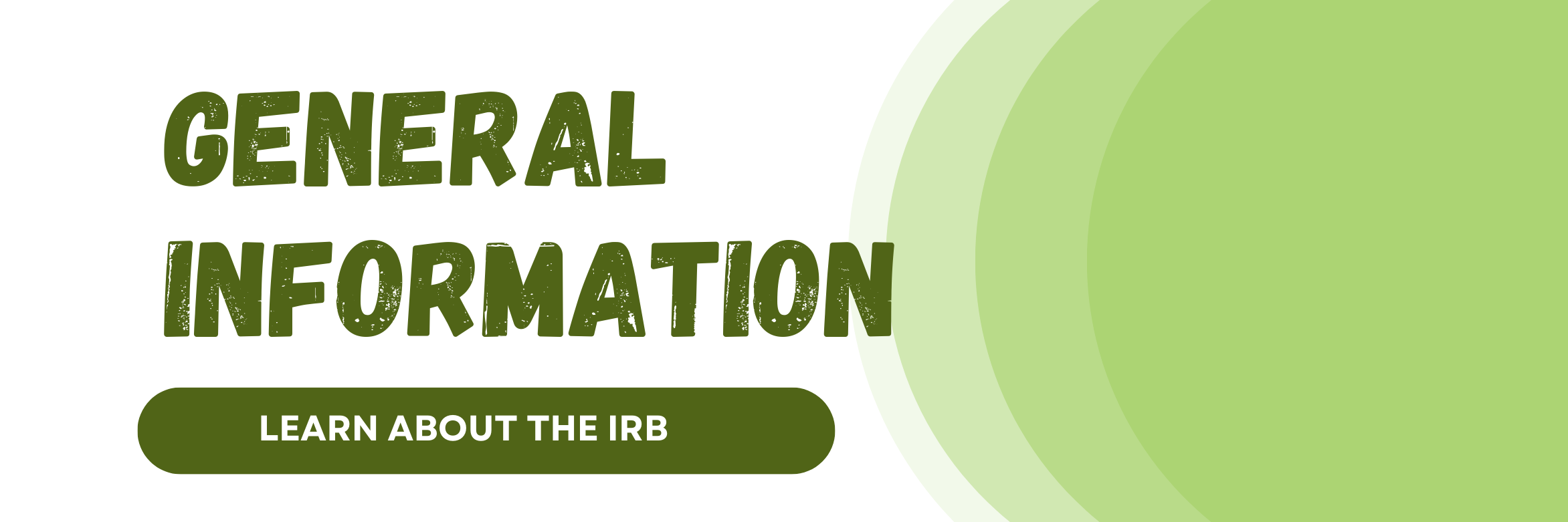 Learn about the IRB