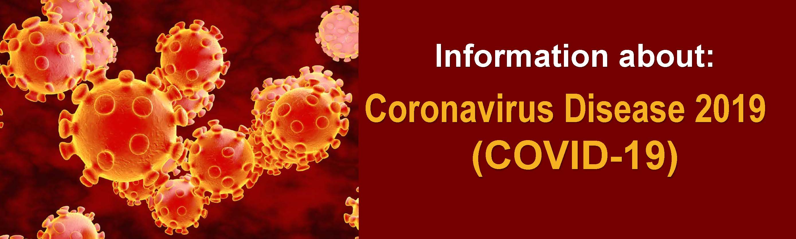Novel Coronavirus 2019