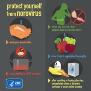 Norovirus food worker infographic