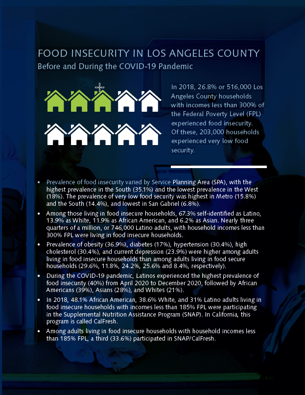 Preview of Food Insecurity Report