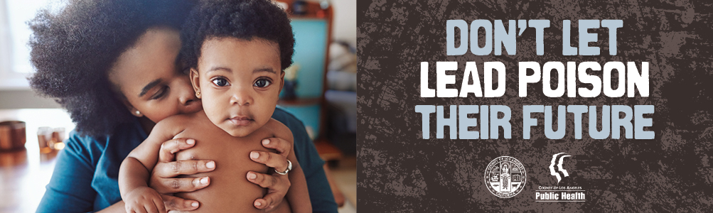 Childhood Lead Poisoning Prevention