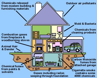 Indoor air pollution composition