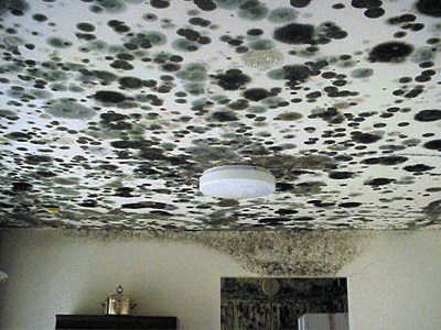 Symptoms of Mold Exposure: In House and More