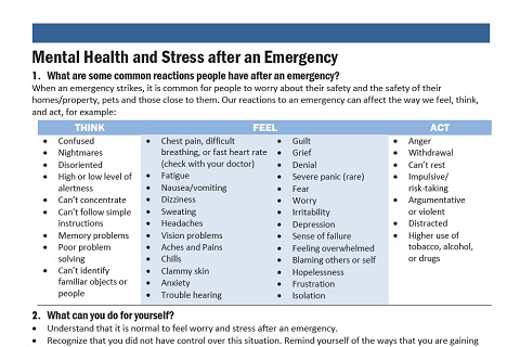 Stress After an Emergency Flyer