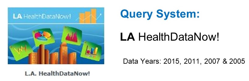 Online Query System
