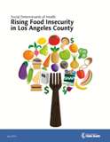 Social Determinants of Health Series