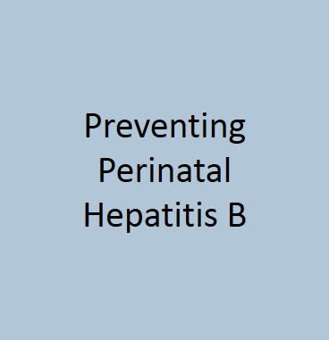 Preventing Perinatal Hepatitis B