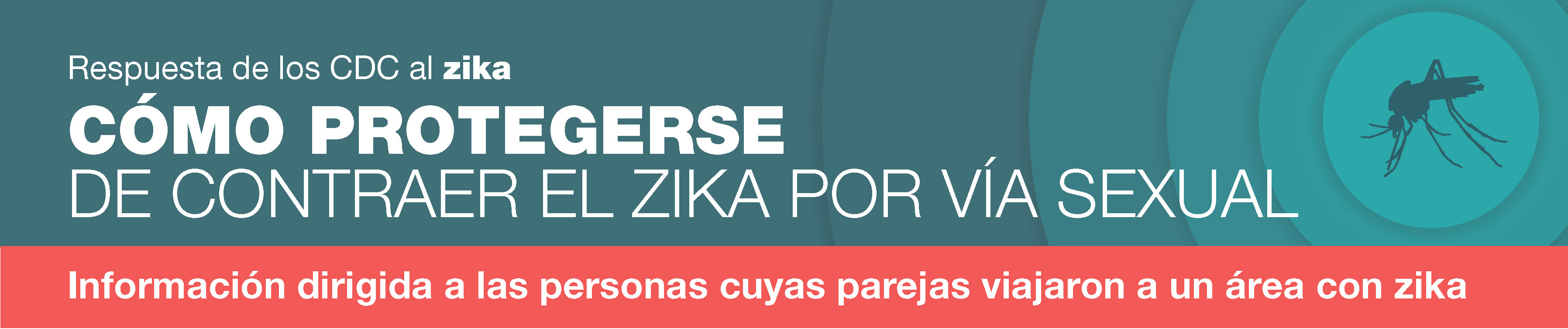 Como protegerse de contraer el zika por via sexual