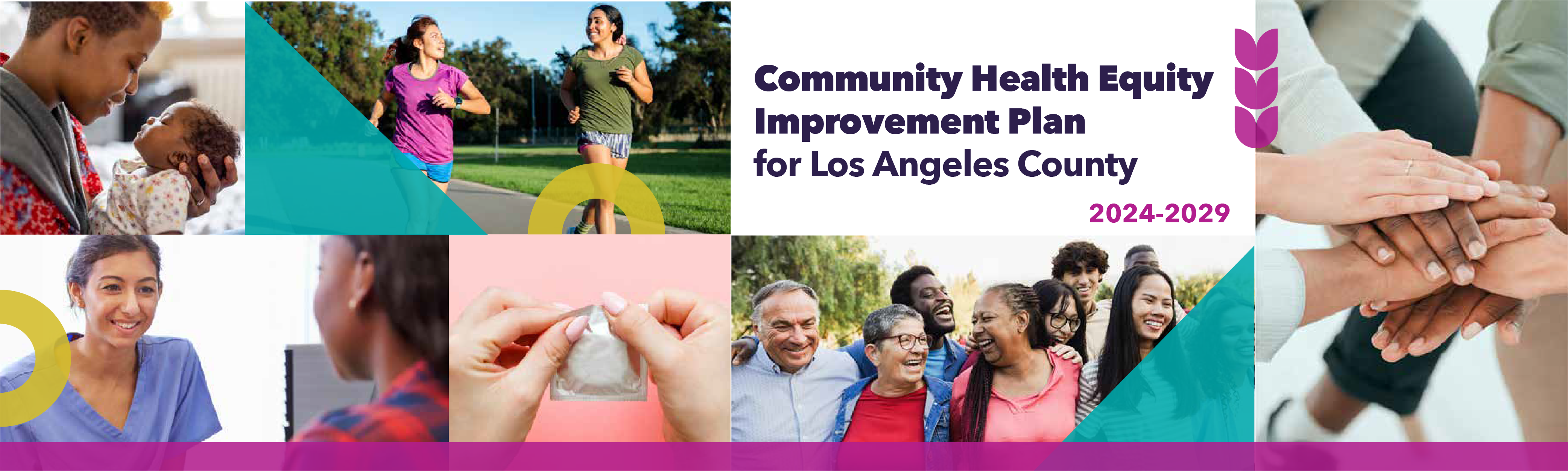 Community Health Improvement Plan