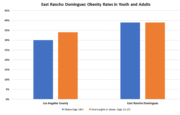 obecity rate