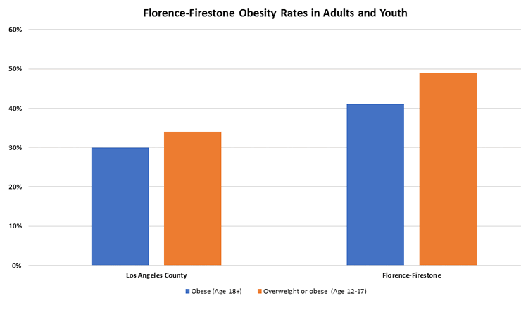 Obecity Rate