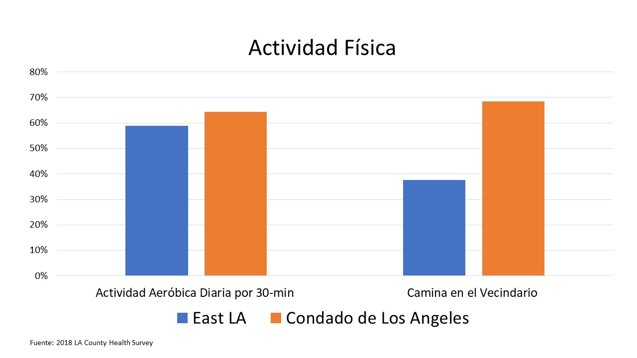 Graph displaying rates of physical activity in East Los Angeles versus LA County