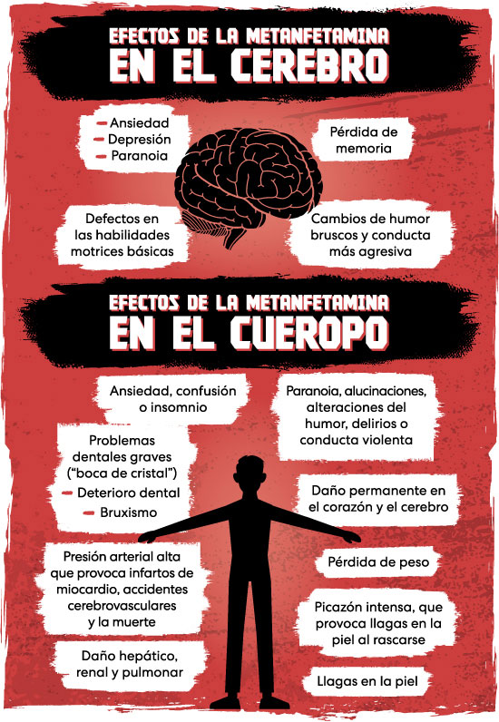 Icono del cerebro y un icono de un cuerpo