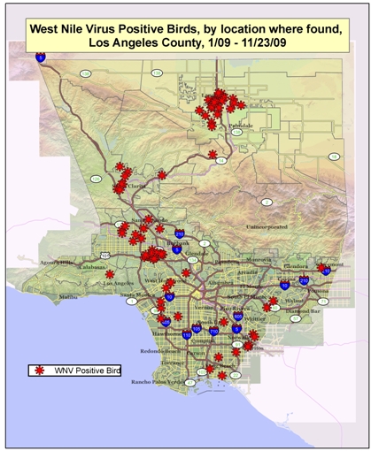2009 Los Angeles County West Nile Virus Map - dead birds