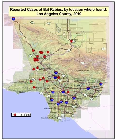 2010 map of rabid bats in Los Angeles County
