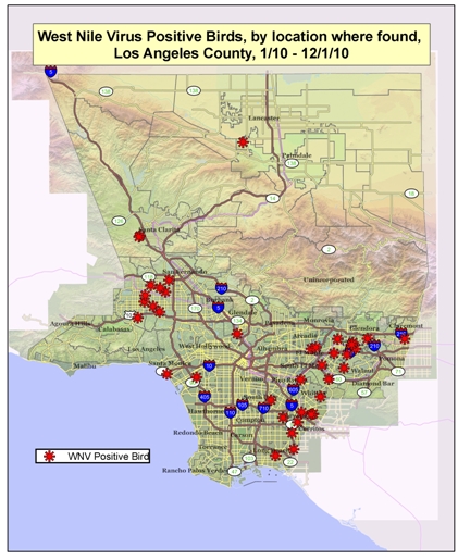 2010 Los Angeles County West Nile Virus Map - dead birds