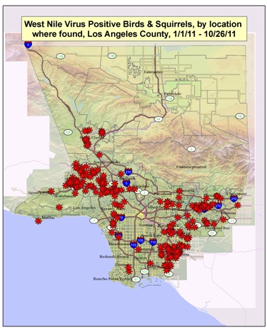 2011 Los Angeles County West Nile Virus Map - dead birds