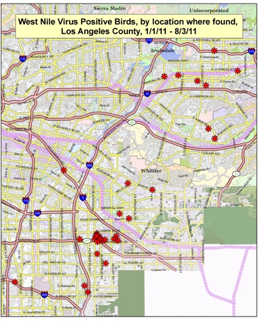 2011 - Cerritos area West Nile Virus Map - dead birds