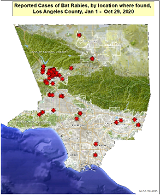 mini rabies map 2020 - rabid bats in los angeles county