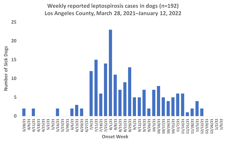 chart showing numbers of reported cases of canine leptospirosis in Los Angeles County from April 2021 to January 12, 2022