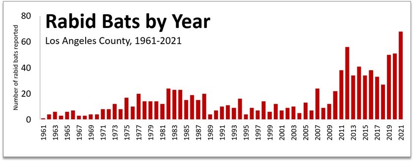 chart showing numbers of rabid bats found in Los Angeles County from 1961 to 2021
