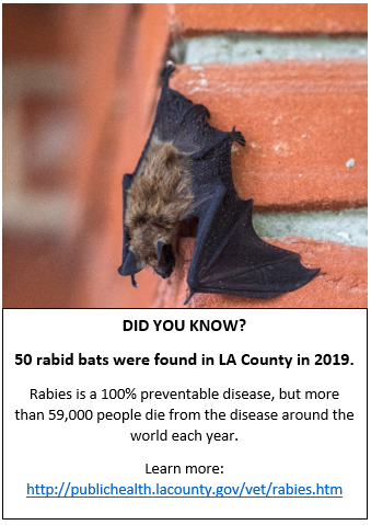 50 rabid bats found in LAC in 2020