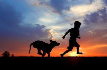 dog and boy running at sunset