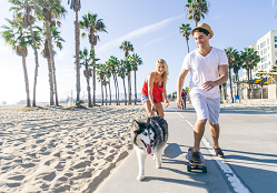 dog walking with owners skateboarding